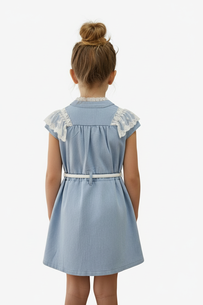 Denim lace dress back white background